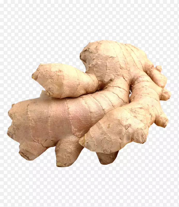 ��׿����-������