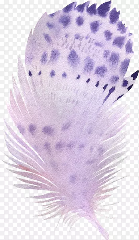 ˮ�ʻ��е�����ëˮ�ʻ�-������