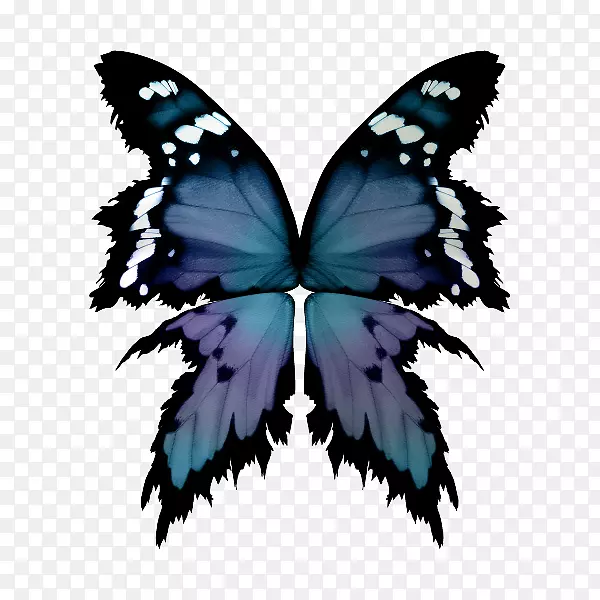 �������ʶԳ�-����-������