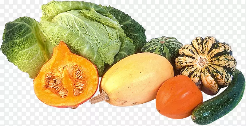 ���ϡ��л�ʳƷ�����ϡ��ļ��Ϲ�-������