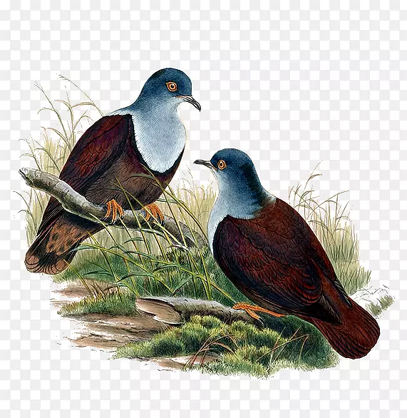 �Ĵ����ǵ���-������