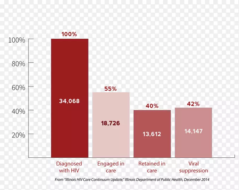 Ʒ�Ʊ�־-���-������