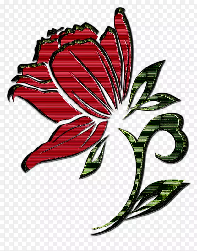 ����ֲ���л��������Ҷ���-������