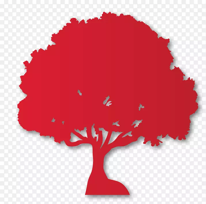 ����ֲ��Ҷ����-������