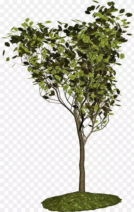 ��ͩ������ľ�����ͣ�ֲ��-��-������