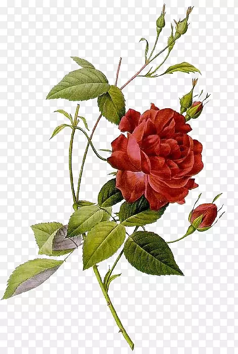 õ��ֲ���ͼ����-õ��-������