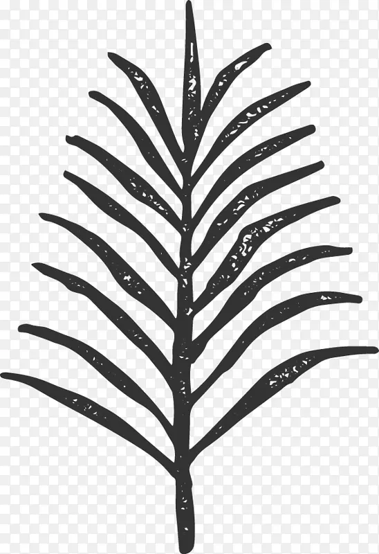 ������Ĵָ���ϵ۵İ�-wk 2018-������