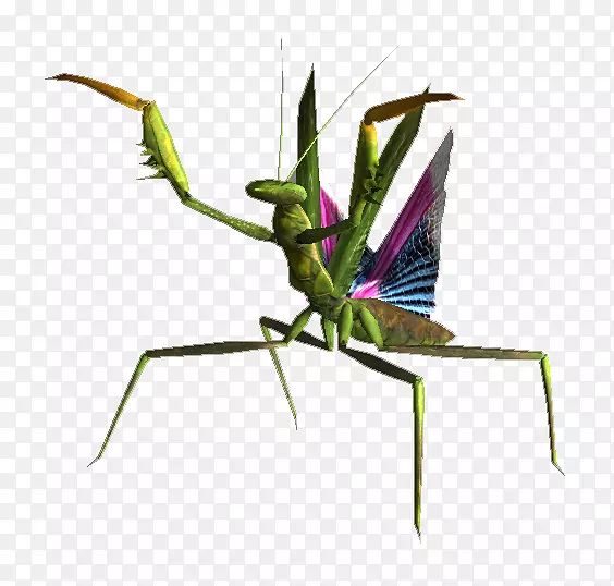 ���Ϻ������ά��˹����ĵ�-����-������