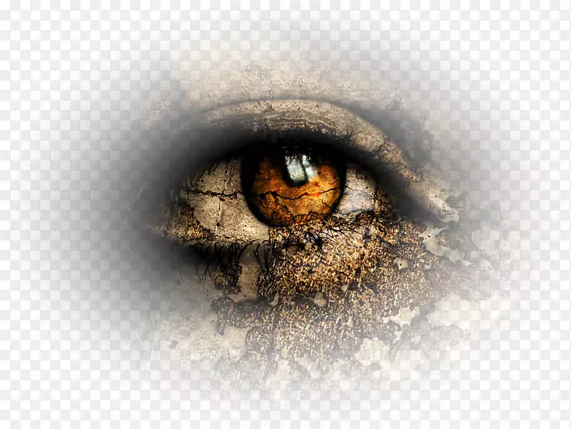 �����ֽ��д�����������-������