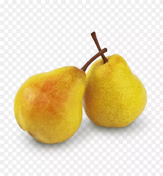 ������ʼ�â����Ʒ-��-������