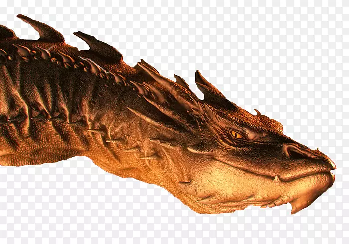 ����Դ��ʳ������°Ϳ���-������