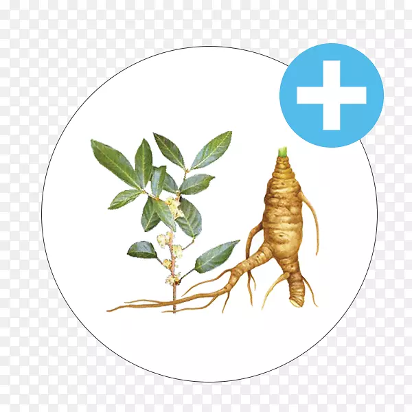 ����������ȡ�ﾭƤ��Ƭ����ڷ�-����-������