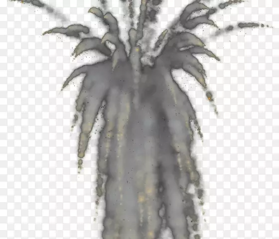 Adobe After Effect�Ӿ���Ч-Carassius auratus-������