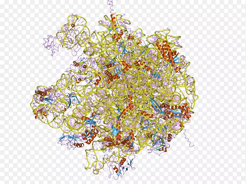 ������-������