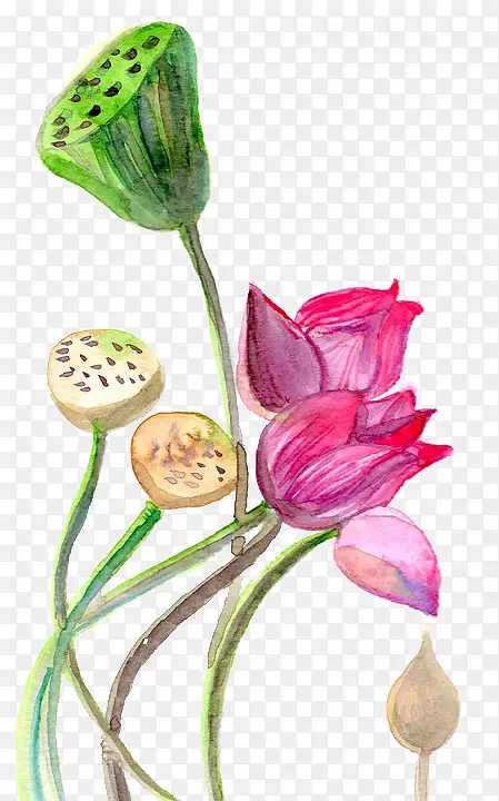 ˮ�ʻ�����ˮ�ʣ�������ˮ�ʻ�-������