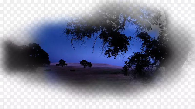 �����ֽKolej Tuanku ja��afar���������ֽ��-������