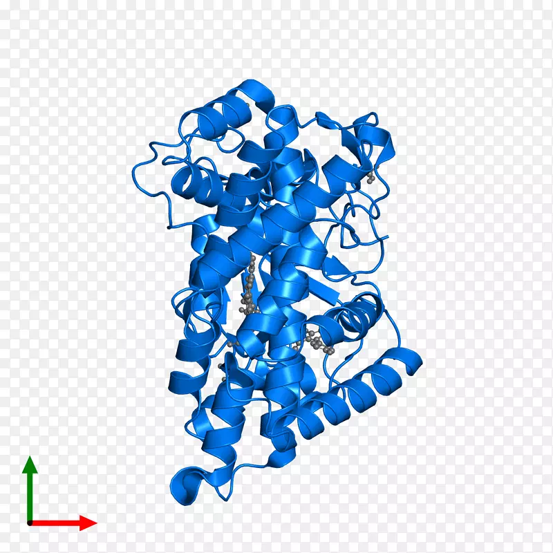 �ߵ������μ�����.��-������