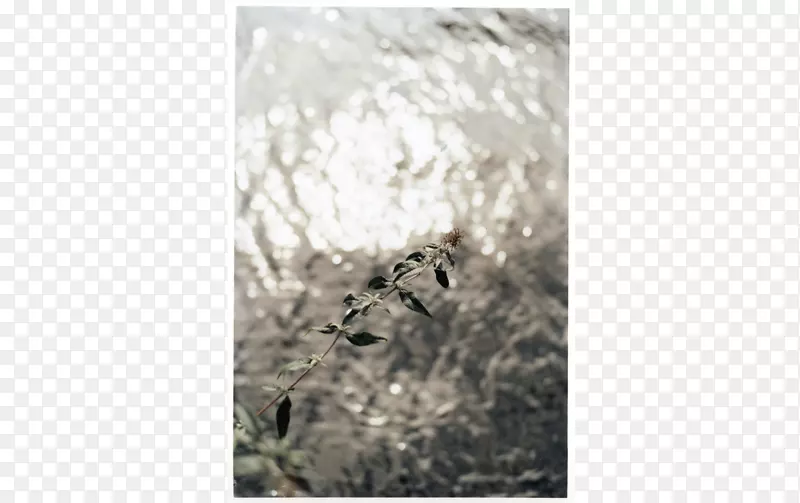 ��-��-������