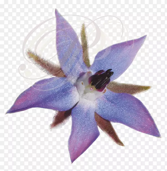 �廨-������