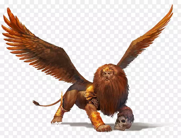 ӥ�����Ұ������-ӥ-������