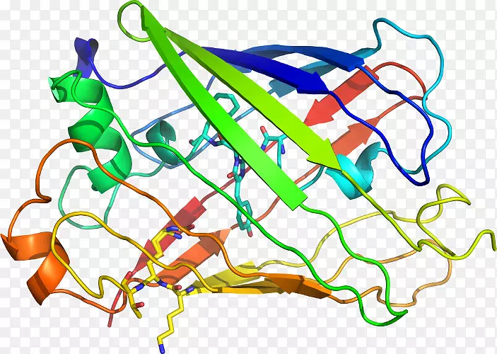 �ߵ������������-������