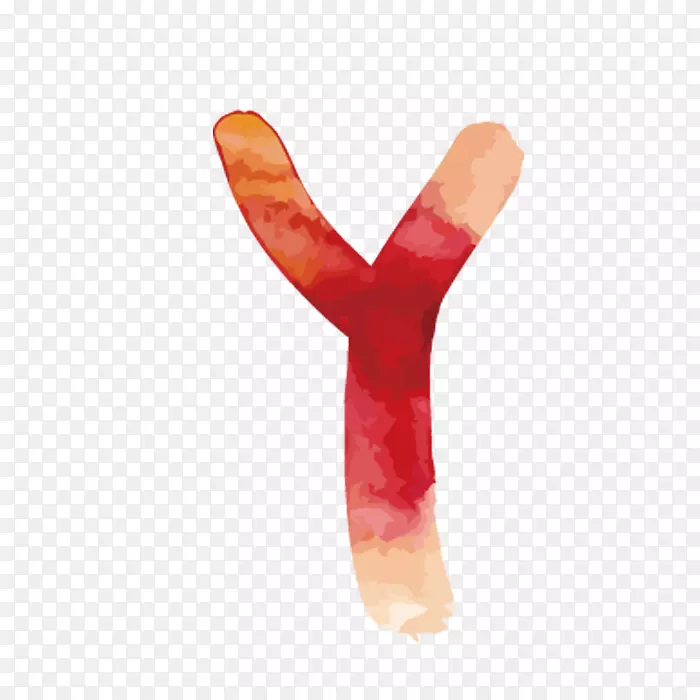 ˮ�ʻ���ĸ.ˮ�ʻ���ĸy-������