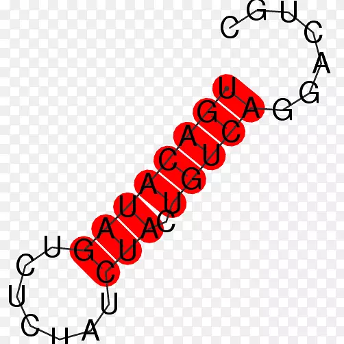 ���������ؽγ��µ�a6������ѹֱ��-����-������