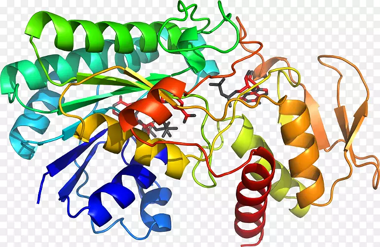 �߲��л���ϵ�м�����-�߲�-������