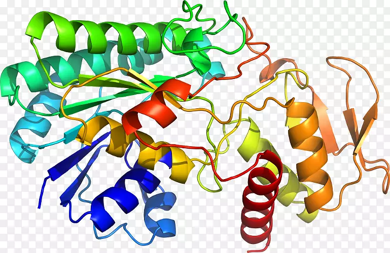 �߲��л���ϵ�м�����-�߲�-������