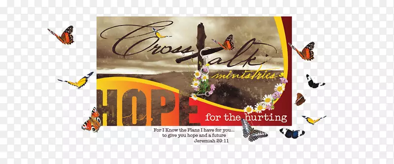 ƽ����ƺ���.���-������