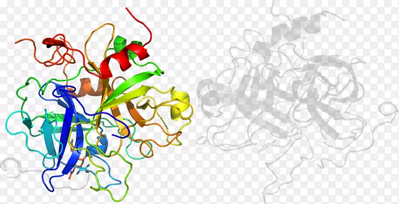 ƽ����Ƽ�����.���-������