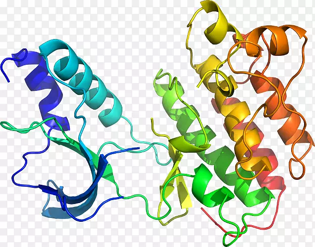 ���������л����߼�������-������