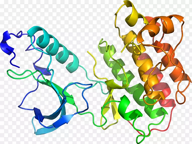 ���������л����߼�������-������