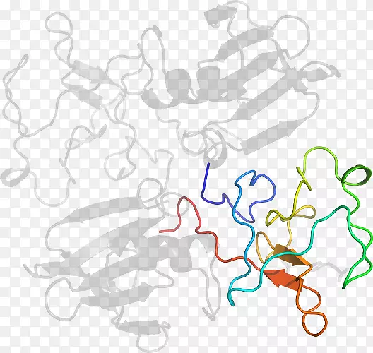 �ߵ������������-������