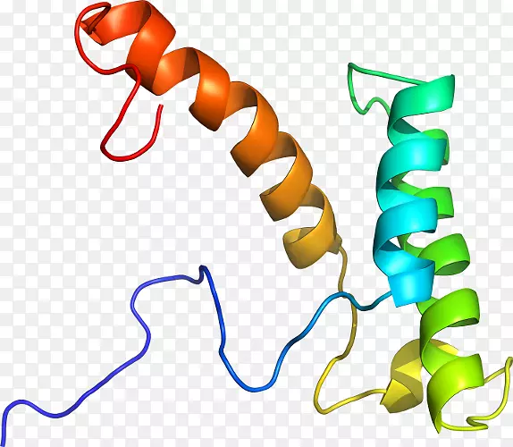 ���������л����߼�������-������