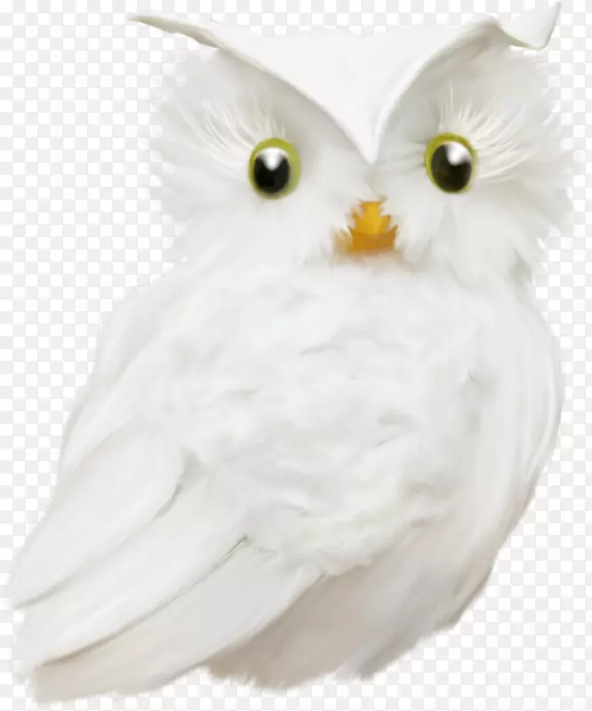 èͷӥ������ëèͷӥ-������