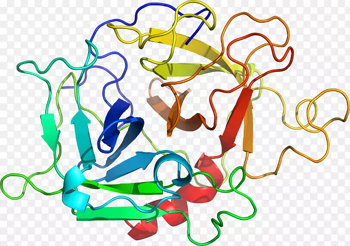 ������ƽ����Ƶ��������-������