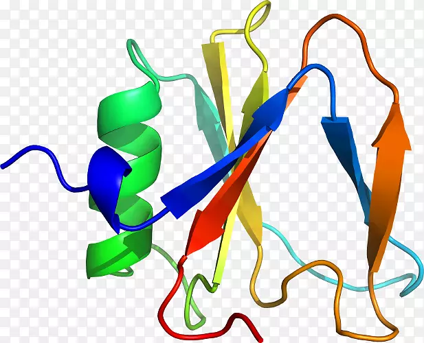 ƽ����Ƽ�����.���-������