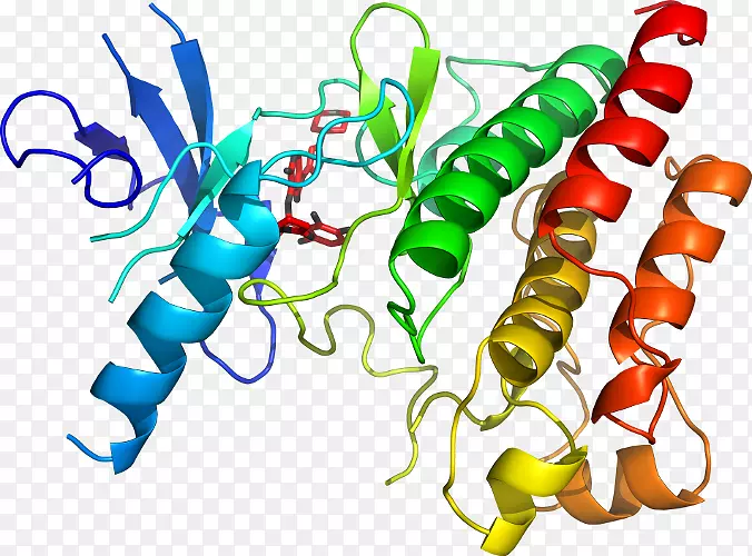 �޼�׵����ʳ���߶����������-������