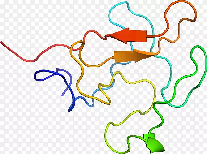 �ߵ������������-������