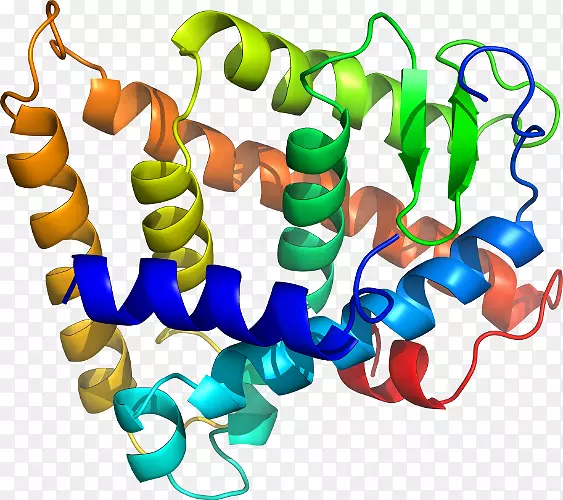 �����鱦������-������