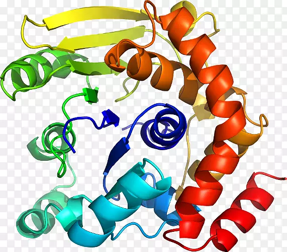 ʳ�����߼�����-��-������