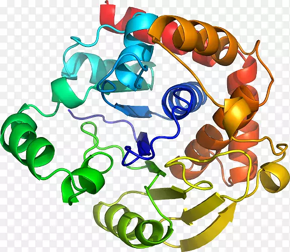 ���������л����߼�������-������