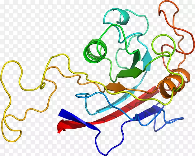 �ߵ�������������-������