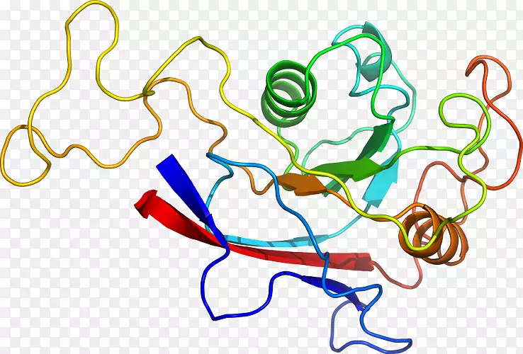 �ߵ������������-������