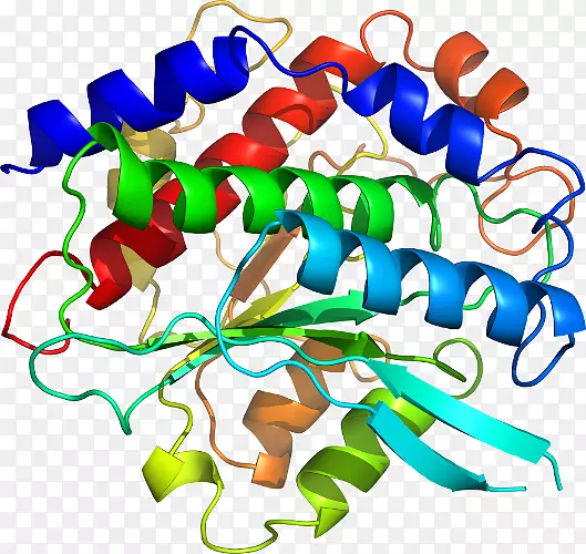 �����߶����������-������