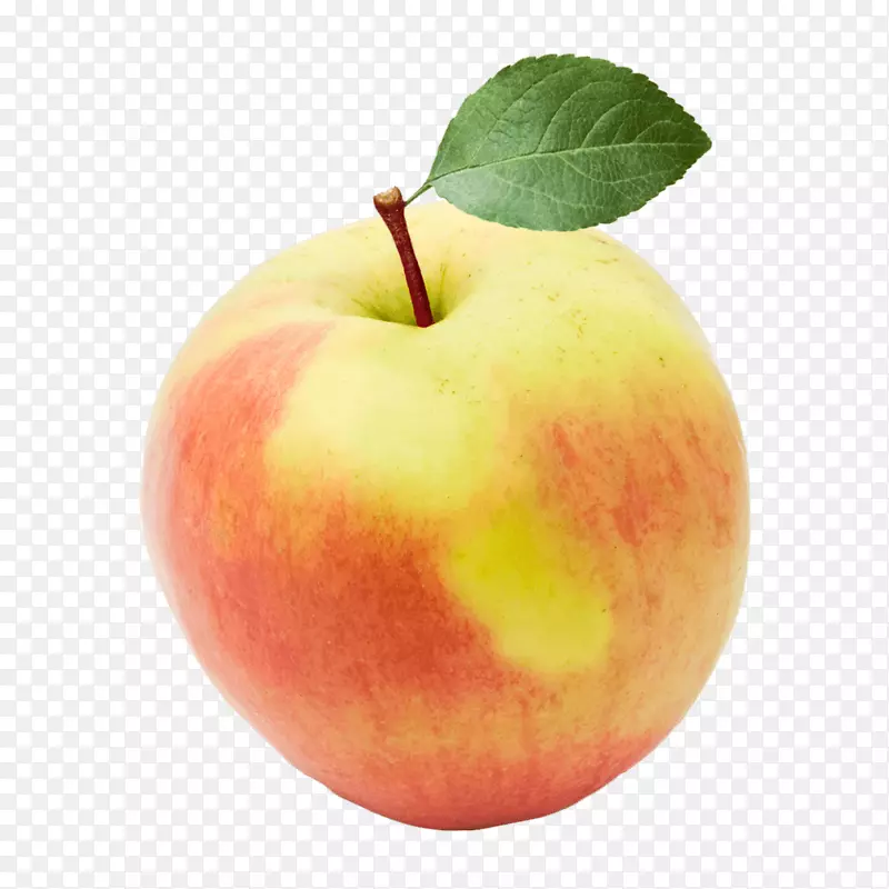 ��Ȼʳ���ʳʳ����ӡ�����ʳ��-ʳ��-������