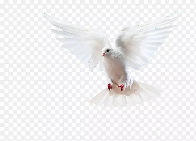 ��ë�����-������