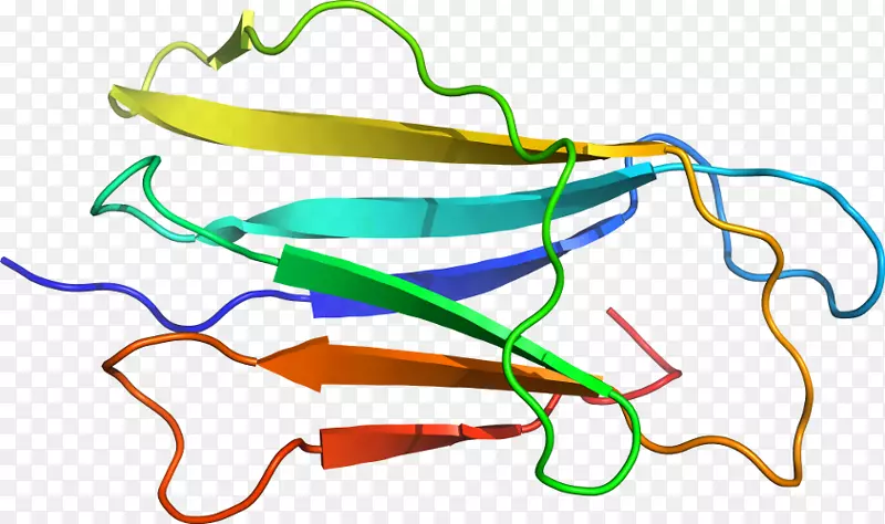 �ߵ������-��-������