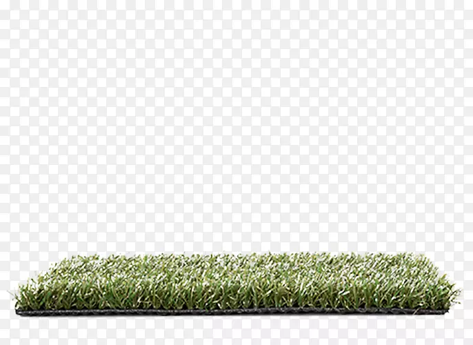 ��ƺ�ݿ�-������